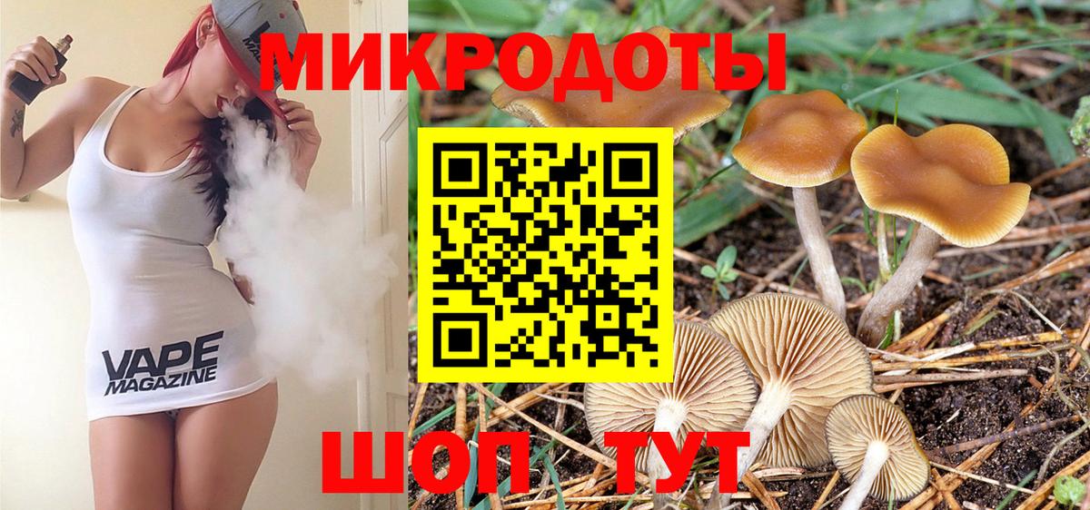 Псилоцибиновые грибы Psilocybe  Псилоцибиновые грибы мухоморы  наркотики  Вход с VPN  Мелеуз 