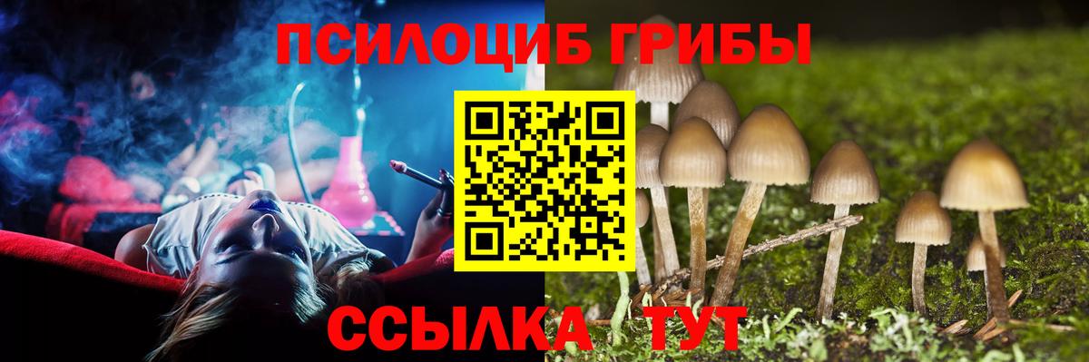 Псилоцибиновые грибы Psilocybine cubensis Мелеуз